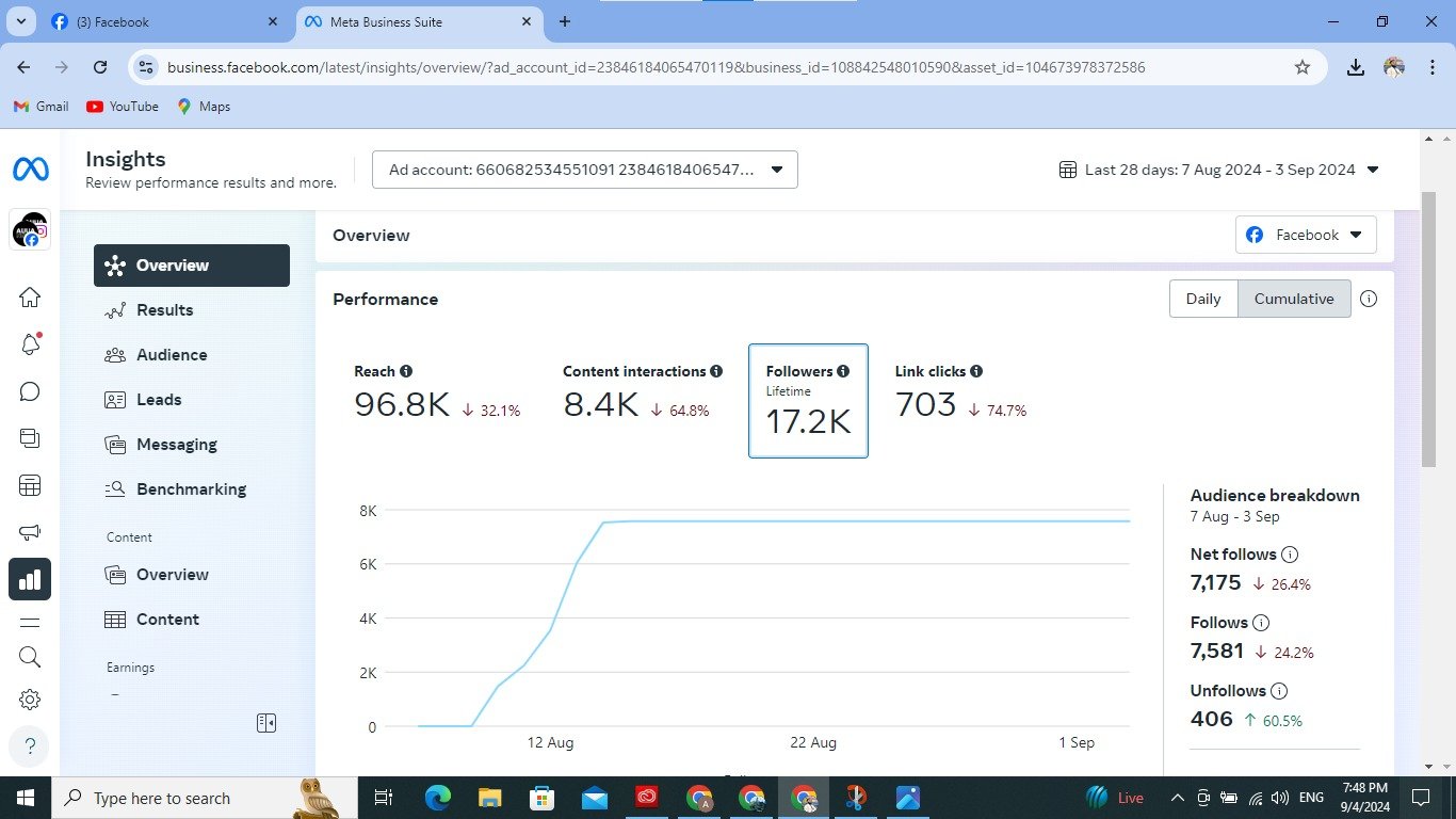 meta-ads-result